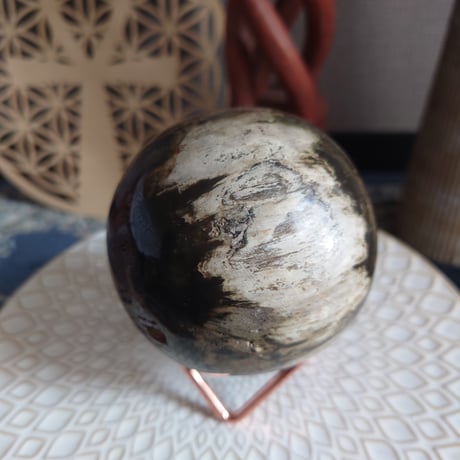 ペトリファイドウッド | STORES