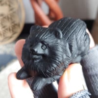 オブシディアンポメラニアン
