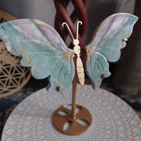 オーシャンジャスパー | STORES