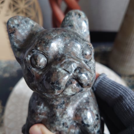 ユパライト 🐾