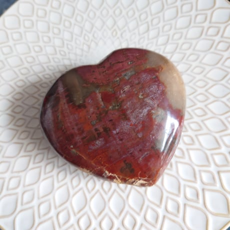 ペトリファイドウッド | STORES