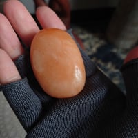 オレンジカルサイト④
