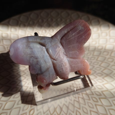 オーシャンジャスパー | STORES