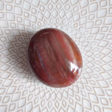 ペトリファイドウッド | STORES