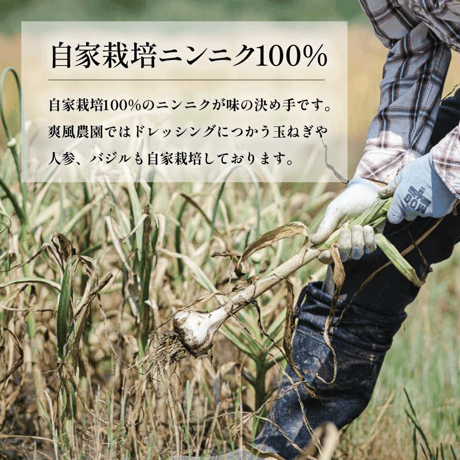 〈ギフトセット「和み」〉いとしまクラッカー & 爽風ドレッシング
