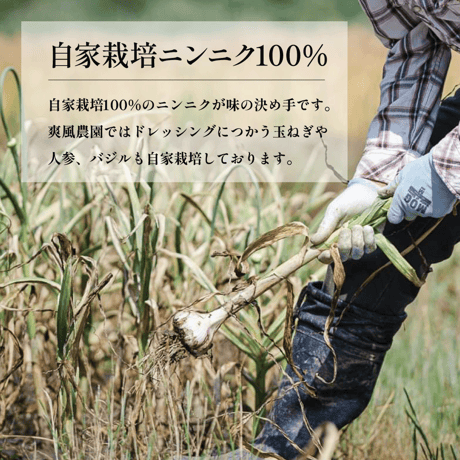 糸島の畑から手づくりドレッシング［ノンオイル柚子］