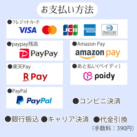 〈ギフト 8個入り〉いとしまチーズケーキ