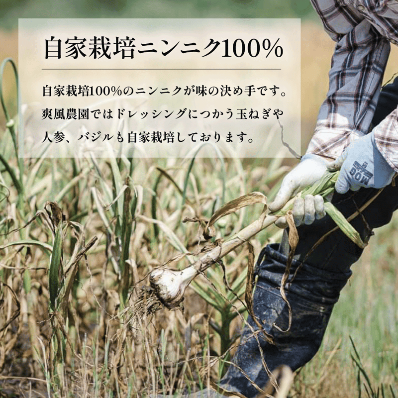 WEB限定 3本セット〉糸島の畑から手づくりドレッシング | 糸島手造り