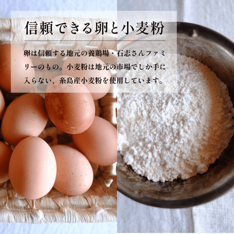 〈ギフト 8個入り〉いとしまチーズケーキ