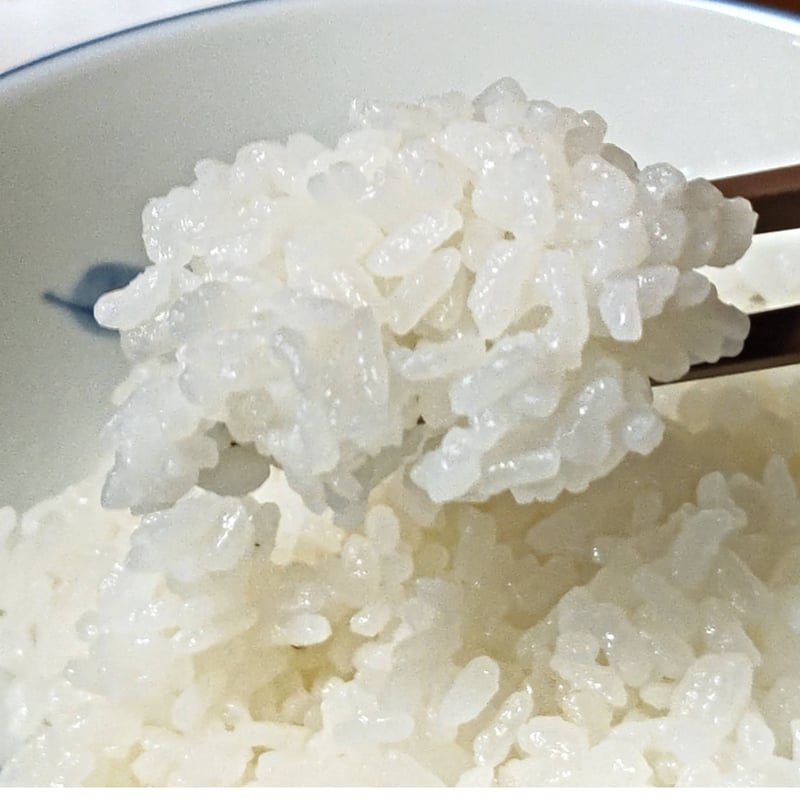 農家直送】令和7年産 富山湾一望米 コシヒカリ玄米10kg/白米9kg | 富山 農家直送】令和7年産 富山湾一望米 コシヒカリ玄米10kg/白米9kg | 富山