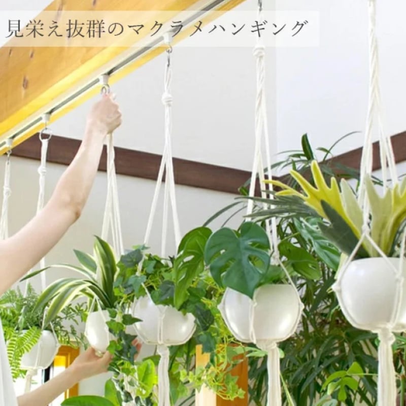 フェイクグリーン① | OrganicSalonバジル