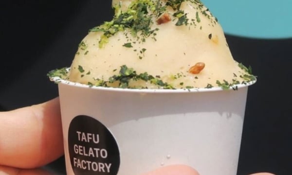 ジェラートファクトリー セット　gelato factory ヨコスカジェラートファクトリー:YOKOSUKA GELATO FACTORY