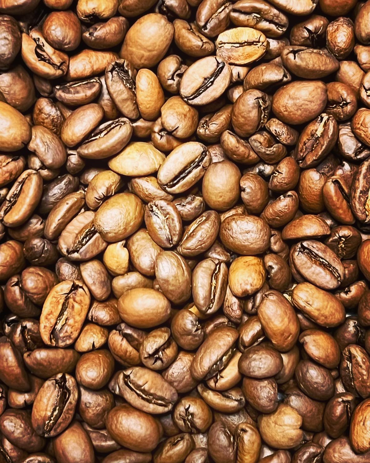 100%コナコーヒー ドリップパック 5パック ギフトセット | 花純