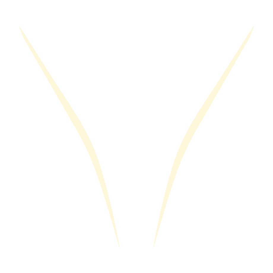 657be53592c091002fee937e