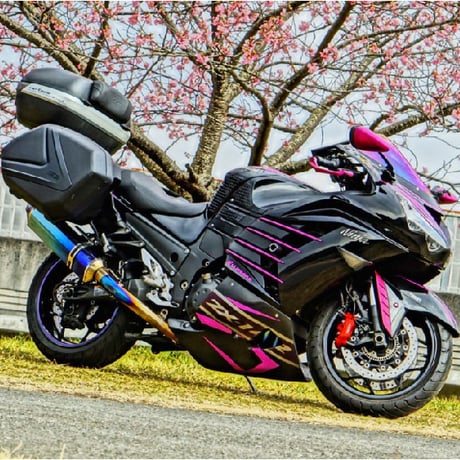 ZX-14R専用サイドフィンデカール(ソリッドカラー)