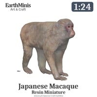1/24スケール ニホンザル ミニチュア模型（未塗装・未組立）