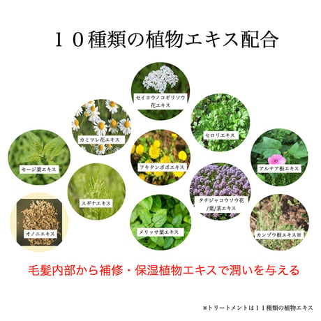 リファイニングウォーターシャンプー　300mL