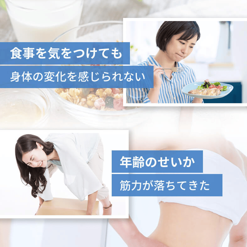 おやすみスリム サプリメント（定期便） | Night Supplement Online