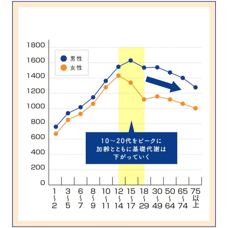 おやすみスリム  サプリ おやすみスリム サプリメント（定期便） | Night Supplement Online