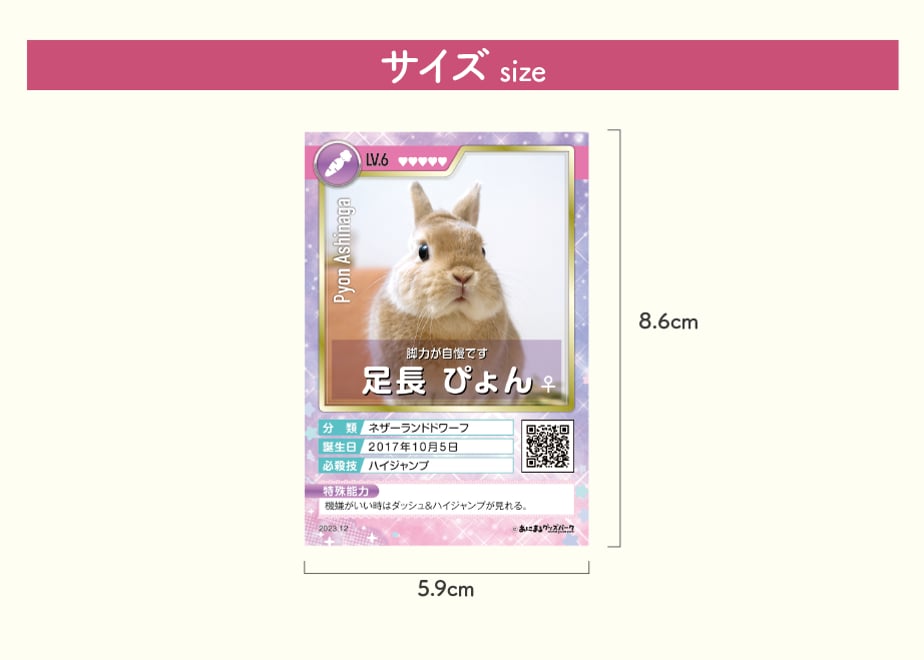 65d44018a3a20c03e81b6964