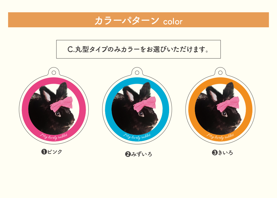6589336c4adc320158841923