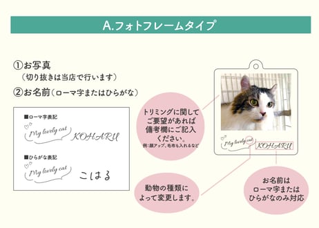 《うちのこ推し活！》オリジナルアクリルキーホルダー