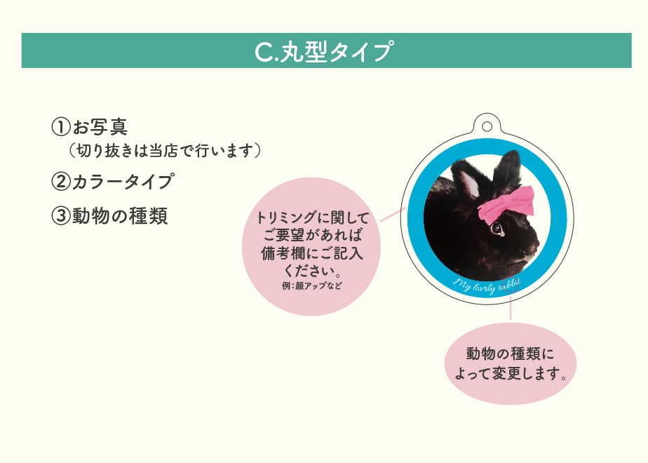 6589336c4adc320158841923