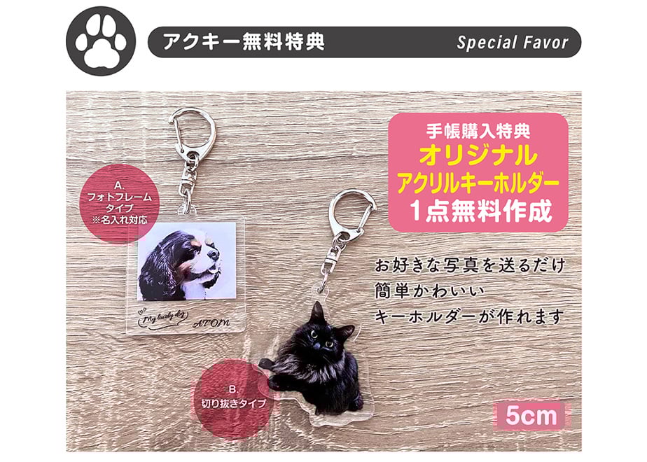 スターターセットSタイプ】定価65,058円 → 48,000円（送料込み！）セット割、子猫