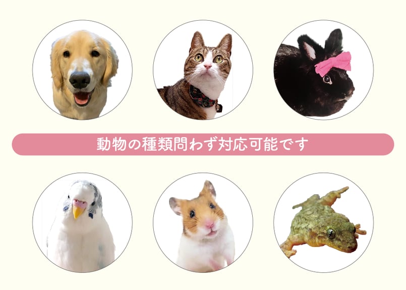 スクエアタイプ》名入れアクリルスタンド | あにまるグッズ スクエアタイプ》名入れアクリルスタンド | あにまるグッズ