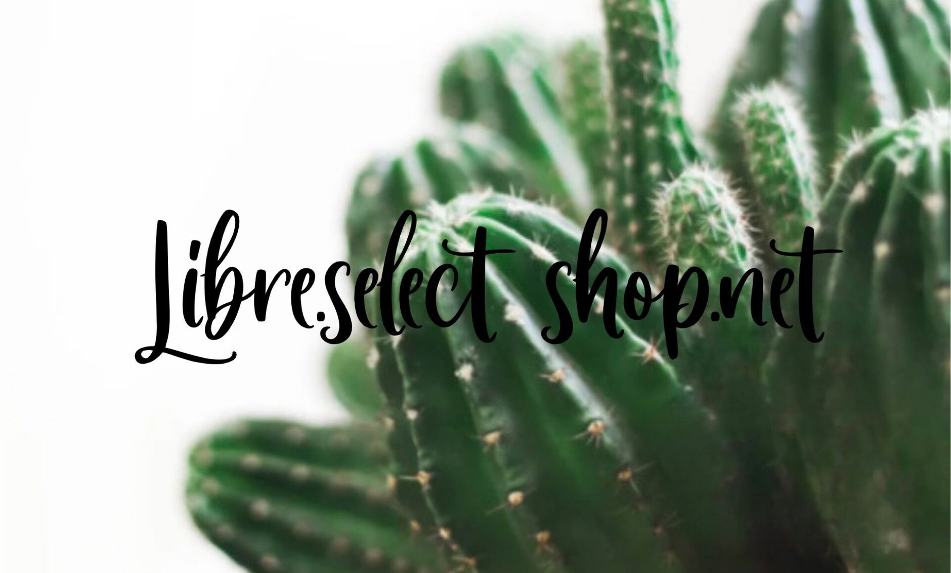libre.selectshop.net