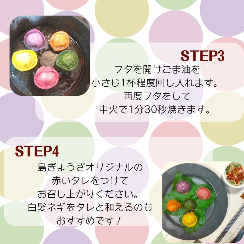 島野菜ぎょうざアソート(10個入り) 赤のタレ付き 6個まで送料1つ分