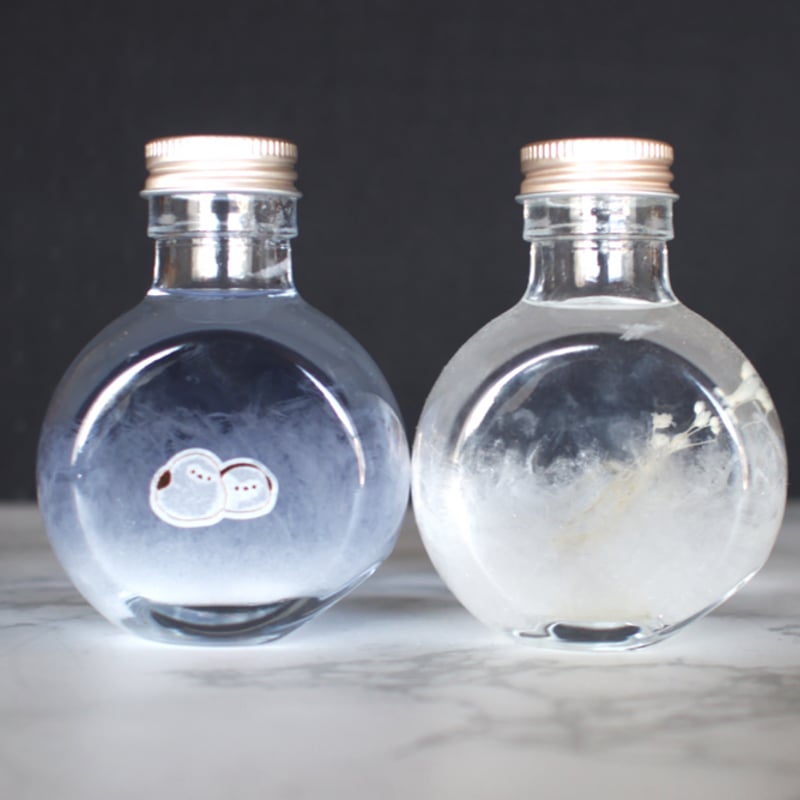 ネイビーとホワイトのストームグラス（ネコ瓶）2個セット | 森の