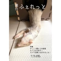 週刊ふぇれっと（2022年11月発行）