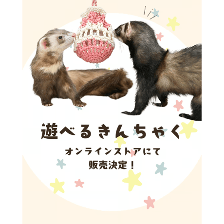 遊べるきんちゃく