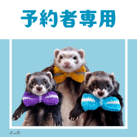 【予約者専用】ふわりんりぼん（２０２４年秋冬コレクション）
