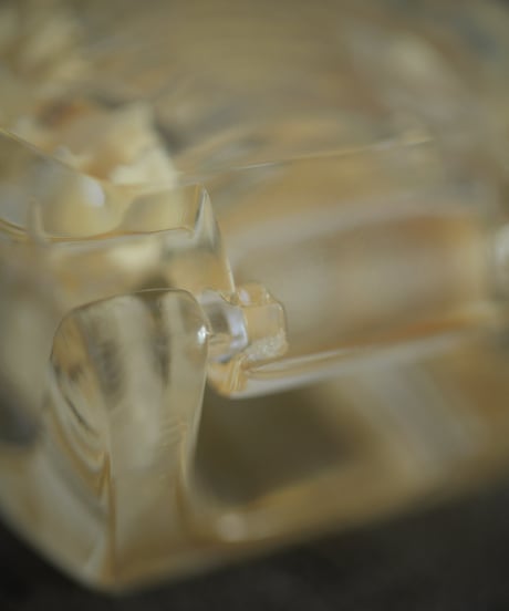 dog teeth model
