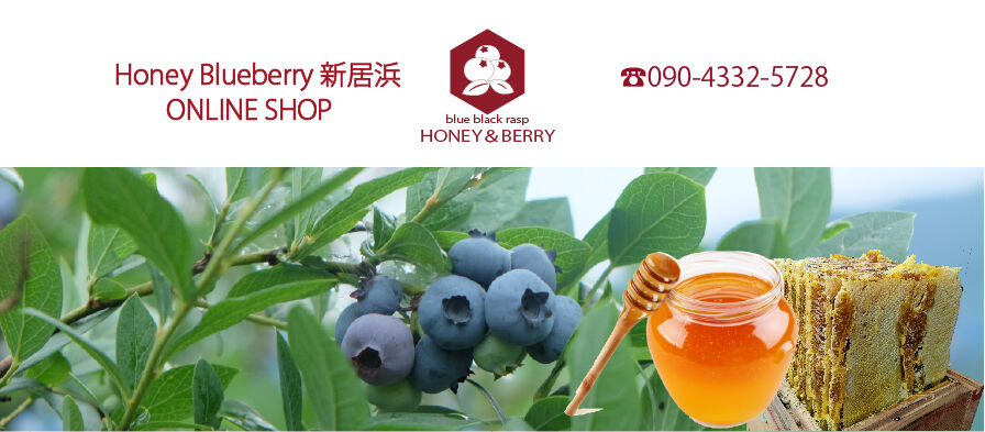 HONEY BLUEBERRY 新居浜 