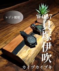 森の小さなテーブル　 ＃037　貝塚伊吹（カイヅカイブキ）プレート