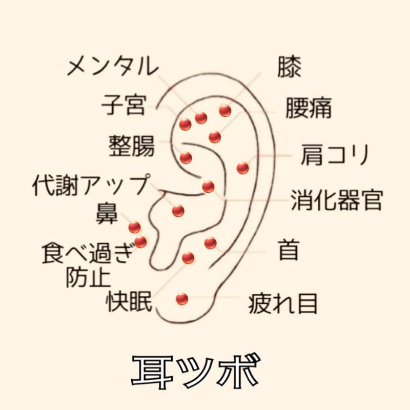 三耳壺　高さ約21.5㎝　タヒオ　東さ7-0428① 三耳壺 高さ約21.5㎝ タヒオ 東さ7-0428① 三耳壺