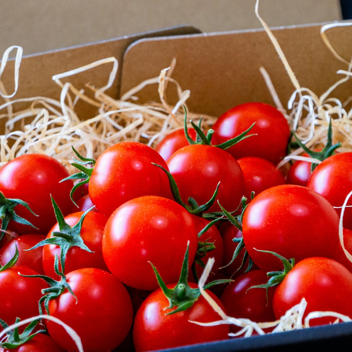 極高級トマト クルミちゃん黒箱 | 竹之内農園