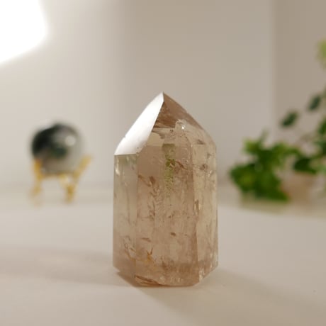 非加熱シトリン | STORES