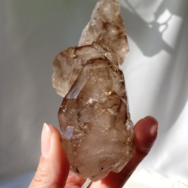 ブラックトルマリン共生 スモーキークォーツエレスチャル | クリスタル