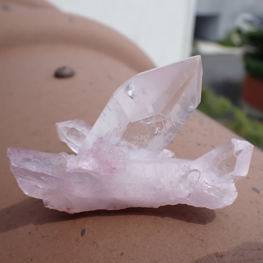 66bc3b4cea2af0011027f073