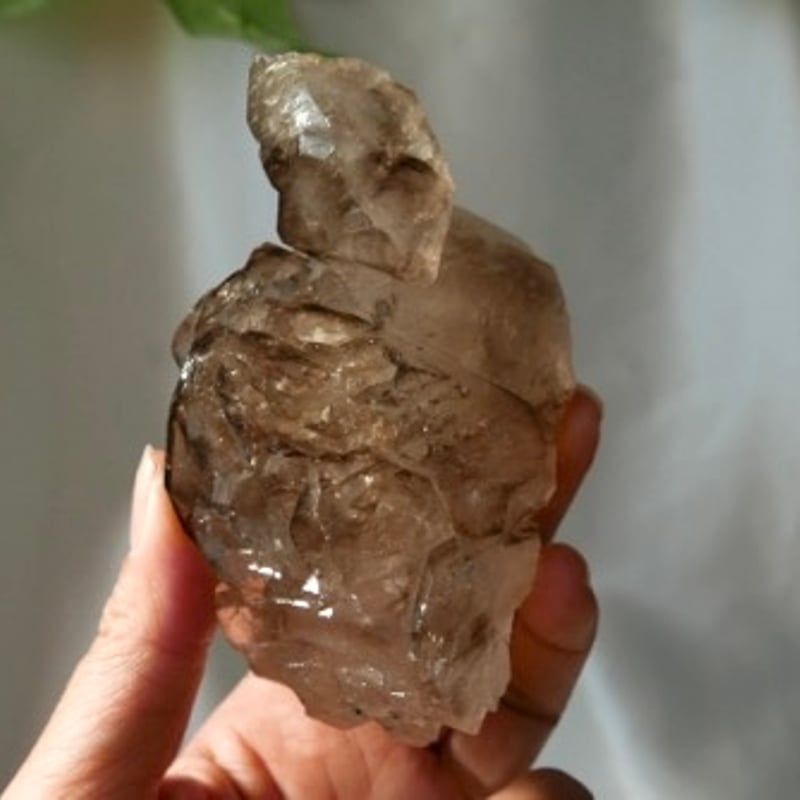 ブラックトルマリン共生 スモーキークォーツエレスチャル | クリスタル