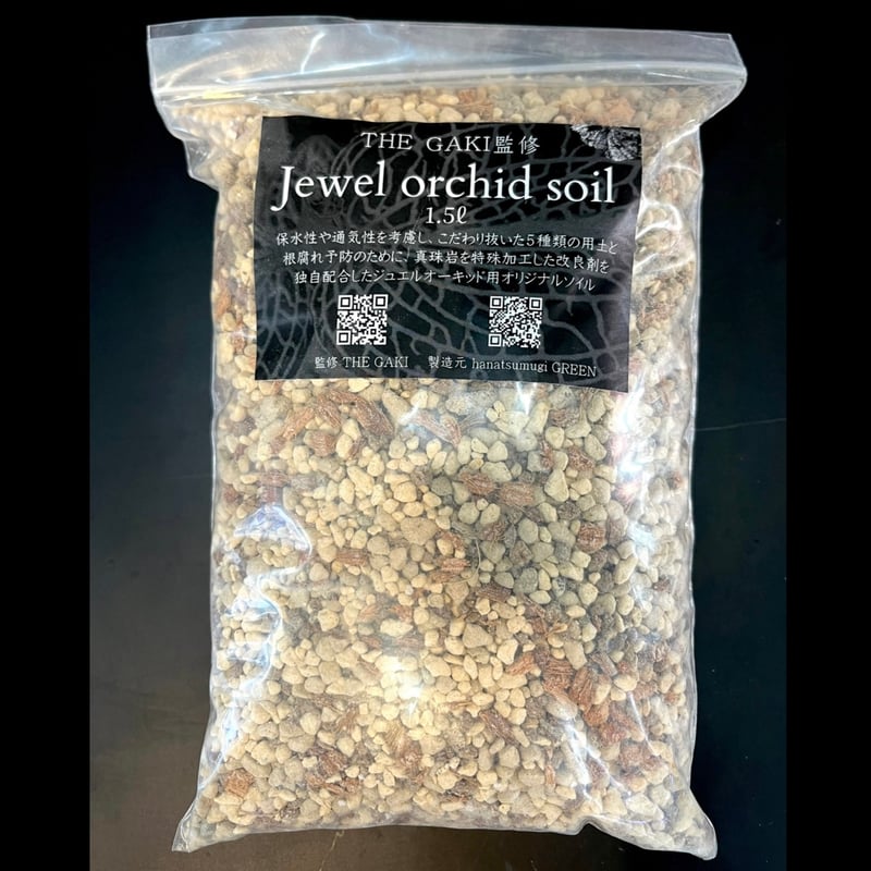 ジュエルオーキッド　THE GAKI 「黄桜」 Ludisia discolor '黄桜'[GK20-006] /Lud. discolor DarkLeaf SP-Line