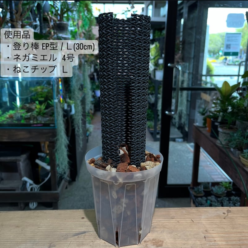 登り棒 EP型 30cm | hanatsumugi GREEN