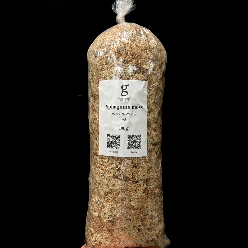 乾燥水苔AAAA(ニュージーランド産)100g | hanatsumugi GREEN