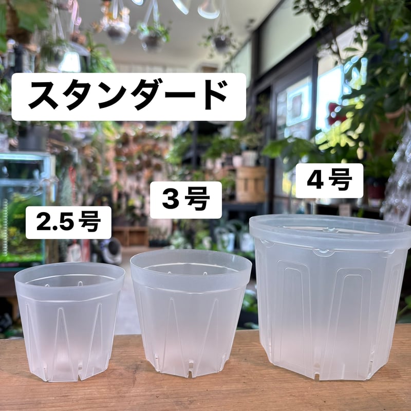 透明スリット鉢「NEgamieru」ネガミエル | hanatsumugi GREEN