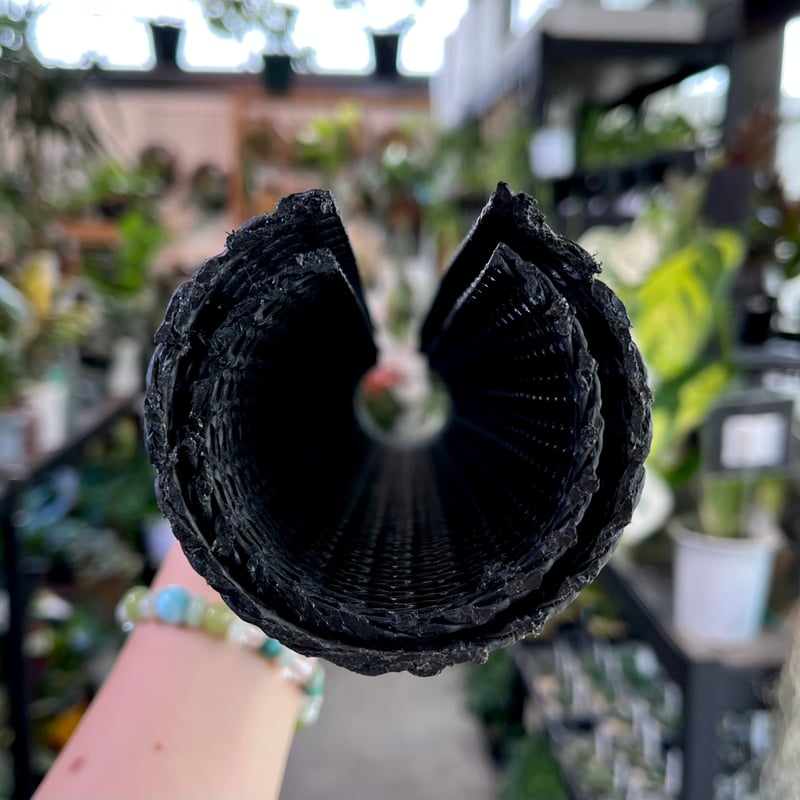 登り棒 EP型 30cm | hanatsumugi GREEN