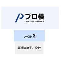 プログラミング能力検定：レベル３